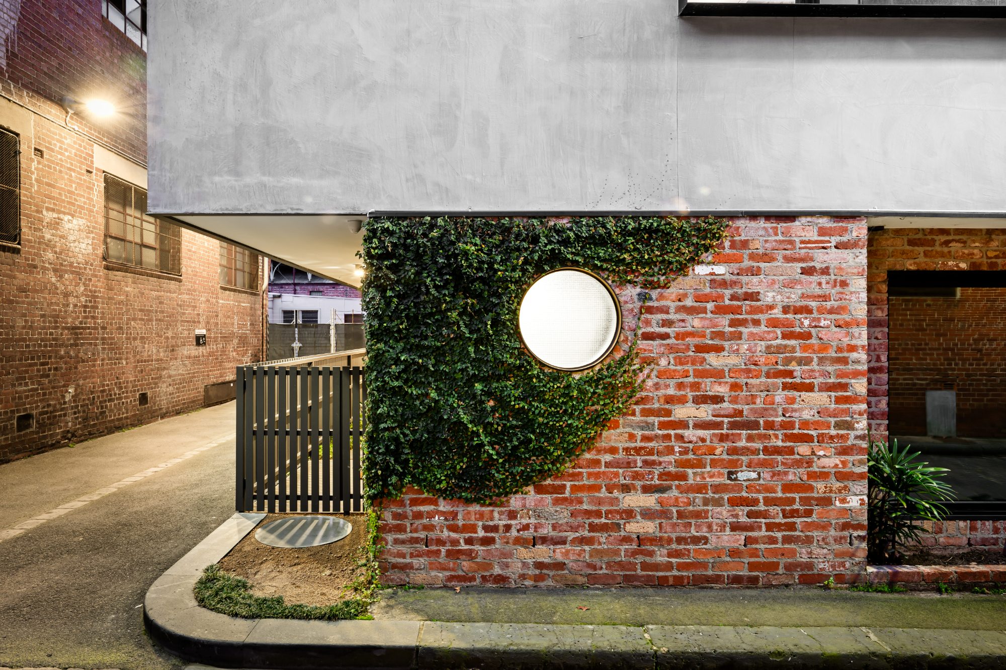 Ivy over recycled brick